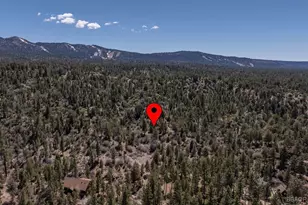 600 Kean Way, Big Bear City, CA 92314 - Photo 43