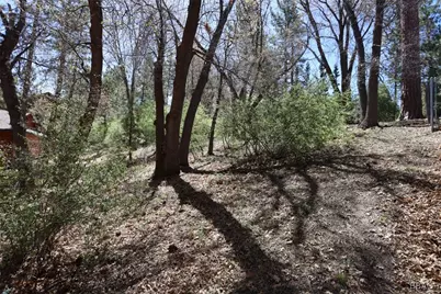 0 Avalon, Big Bear Lake, CA 92315 - Photo 9