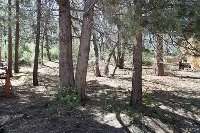 0 Avalon, Big Bear Lake, CA 92315 - Photo 3