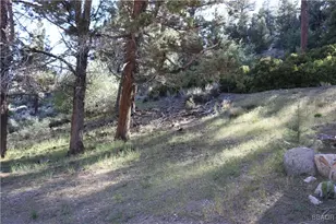 21 Holcomb Valley Rd, Fawnskin, CA 92333 - Photo 19