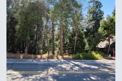 356 Ca-173 Highway, Lake Arrowhead, CA 92352 - Photo 1