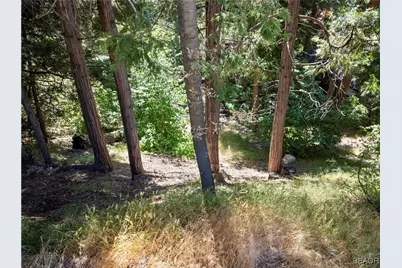 356 Ca-173 Highway, Lake Arrowhead, CA 92352 - Photo 7