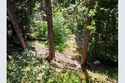 356 Ca-173 Highway, Lake Arrowhead, CA 92352 - Photo 9
