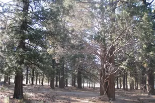 2818 Erwin Ranch Rd, Big Bear City, CA 92314 - Photo 1
