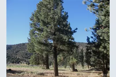 2824 Erwin Ranch Road, Big Bear City, CA 92314 - Photo 3