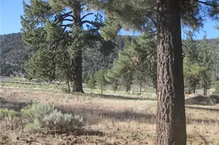 2824 Erwin Ranch Rd, Big Bear City, CA 92314 - Photo 1