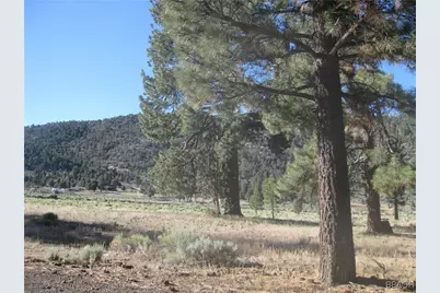 2824 Erwin Ranch Road, Big Bear City, CA 92314 - Photo 5