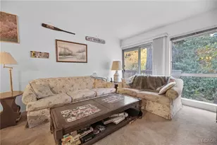 103 Rockledge Ln, Lake Arrowhead, CA 92352 - Photo 3