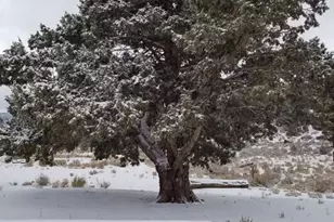 550 Eagle Rdg Ln, Big Bear City, CA 92314 - Photo 19