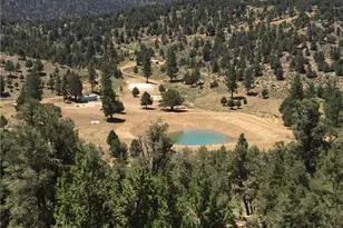 550 Eagle Rdg Ln, Big Bear City, CA 92314 - Photo 31