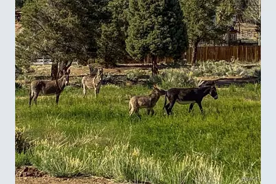 550 Eagle Ridge Lane, Big Bear City, CA 92314 - Photo 17