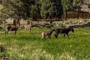 550 Eagle Rdg Ln, Big Bear City, CA 92314 - Photo 17