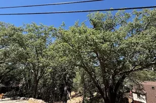 736 Dahlia Dr, Green Valley Lake, CA 92341 - Photo 1