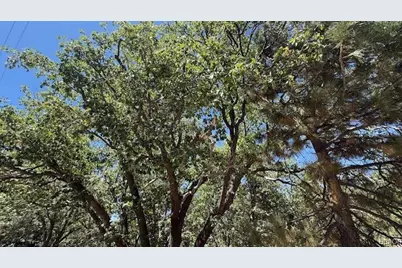 736 Dahlia Drive, Green Valley Lake, CA 92341 - Photo 7