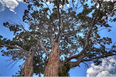 391 Montclair Drive #243, Big Bear City, CA 92314 - Photo 29