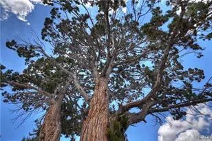 391 Montclair Dr, Big Bear City, CA 92314 - Photo 29