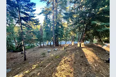 26405 Walnut Hills Drive, Lake Arrowhead, CA 92391 - Photo 7