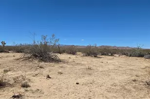 041-02 Pine (Jackrabbit) Ln, Landers, CA 92285 - Photo 1