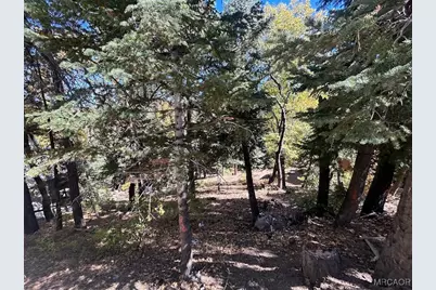 1279 Pigeon Road, Big Bear Lake, CA 92315 - Photo 9