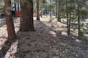 0 Country Club Blvd, Big Bear City, CA 92314 - Photo 1