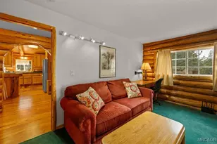 42600 Gold Rush Dr, Big Bear Lake, CA 92315 - Photo 17