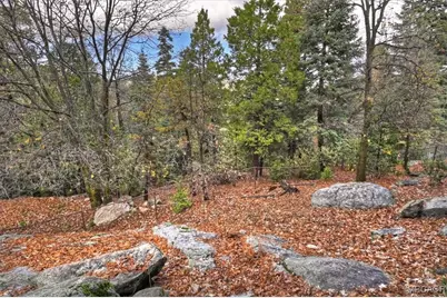 26822 Huron Road, Lake Arrowhead, CA 92352 - Photo 23