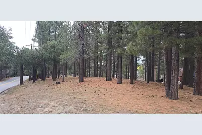 39731 Lakeview Drive, Big Bear Lake, CA 92315 - Photo 13
