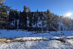 12 Barton Flats Rd, Angeles Oaks, CA 92305 - Photo 19