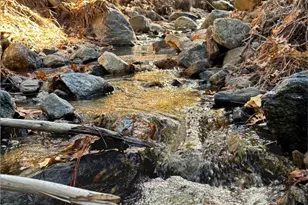 12 Barton Flats Rd, Angeles Oaks, CA 92305 - Photo 17