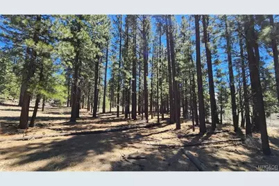 142 Olympic Dr., Big Bear Lake, CA 92315 - Photo 3