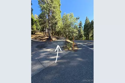901 Ca-173 Highway, Lake Arrowhead, CA 92352 - Photo 31