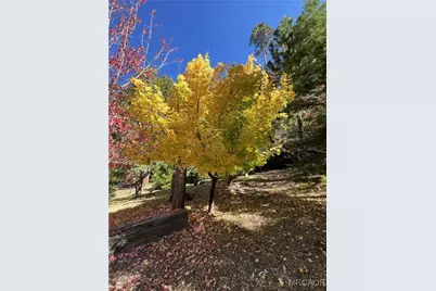 29729 Katharine Way, Cedar Glen, CA 92321 - Photo 41