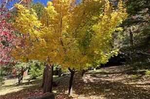 29729 Katharine Way, Cedar Glen, CA 92321 - Photo 41