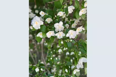 29729 Katharine Way, Cedar Glen, CA 92321 - Photo 45