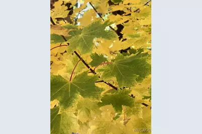 29729 Katharine Way, Cedar Glen, CA 92321 - Photo 43