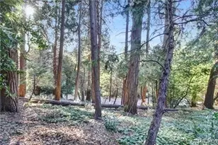 0-2661 Scenic Dr, Crestline, CA 92325 - Photo 1