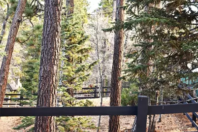 812 Ford Lane, Big Bear Lake, CA 92315 - Photo 9