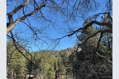 631 Oak Knoll Drive, Green Valley Lake, CA 92341 - Photo 33