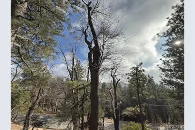 33058 Juniper Lane, Green Valley Lake, CA 92341 - Photo 21