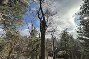 33058 Juniper Ln, Green Valley Lake, CA 92341 - Photo 21