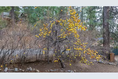 1070 Comanche Drive, Fawnskin, CA 92333 - Photo 13