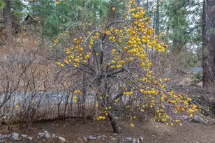 1070 Comanche Dr, Fawnskin, CA 92333 - Photo 13