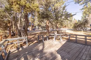 417 Spruce Ln, Sugarloaf, CA 92386 - Photo 7