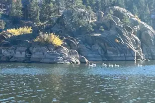 39056 Willow Landing Rd, Big Bear Lake, CA 92315 - Photo 7