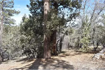 468 Inyo, Big Bear City, CA 92386 - Photo 7