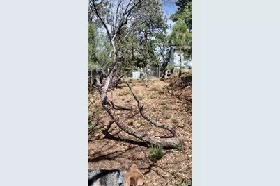 468 Inyo, Big Bear City, CA 92386 - Photo 17