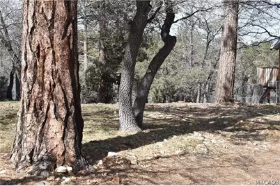 468 Inyo, Big Bear City, CA 92386 - Photo 13