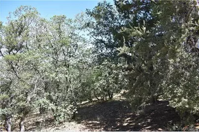 468 Inyo, Big Bear City, CA 92386 - Photo 5