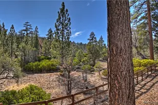 42527 Willow Ave, Big Bear Lake, CA 92315 - Photo 45