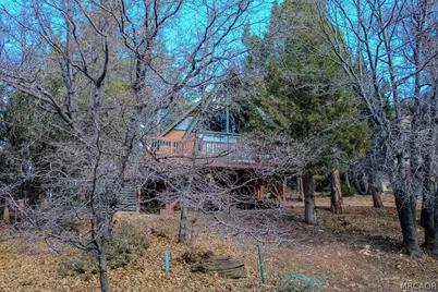 1500 Wolf Road, Big Bear Lake, CA 92315 - Photo 39